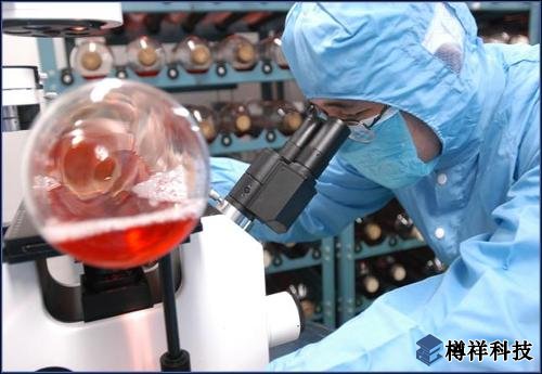 華東理工大學在光響應分子機器領(lǐng)域取得進展
